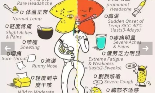 罐头好吗-罐头类食品吃着好不好网 - 网站提供罐头食品的好处和坏处小常识、罐头类食品吃着好不好吃
